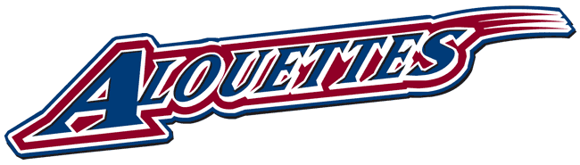 montreal alouettes 2005-pres wordmark logo DTF transfer for t shirt